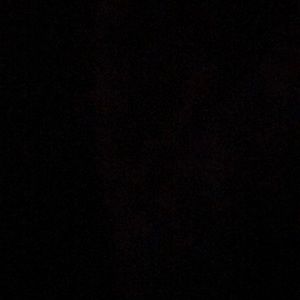 Meet your Posher, Maddie